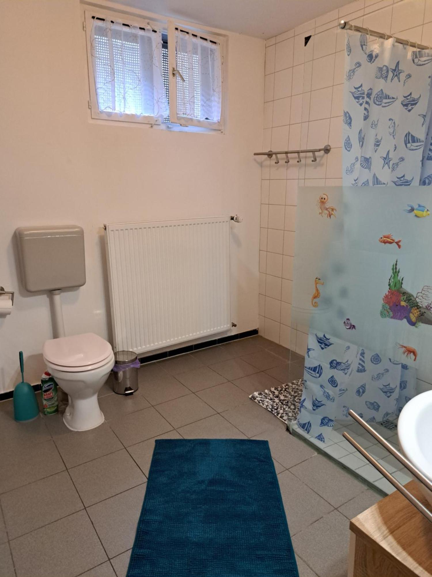 Wohnung Mit 2 - 3 Zimmern Ballenberg 외부 사진